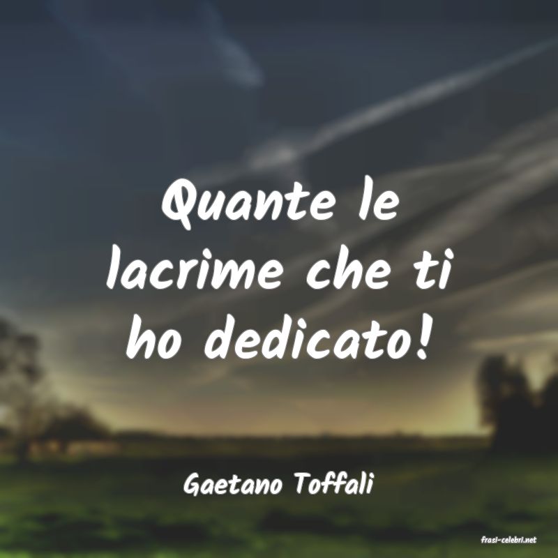 frasi di  Gaetano Toffali
