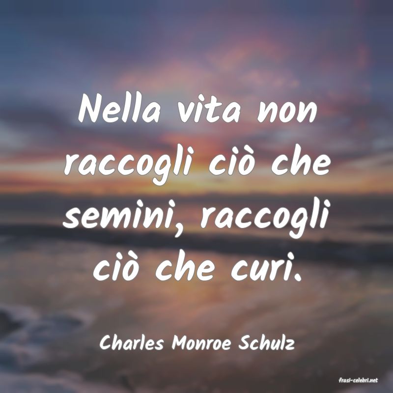 frasi di  Charles Monroe Schulz
