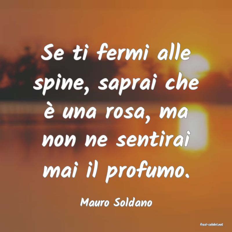 frasi di  Mauro Soldano
