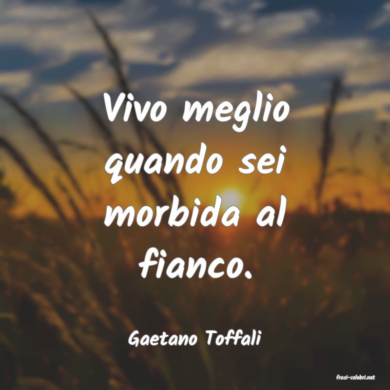 frasi di  Gaetano Toffali
