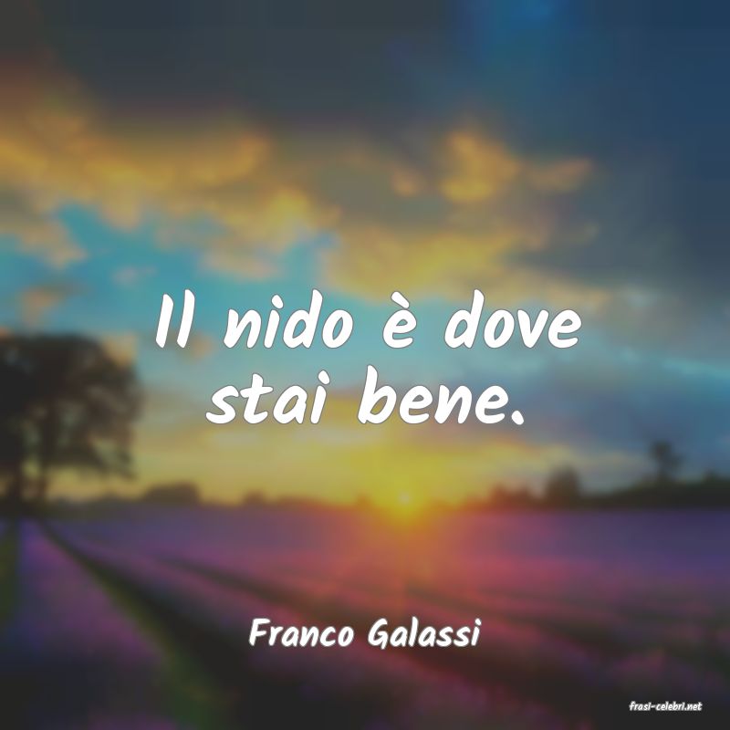 frasi di  Franco Galassi
