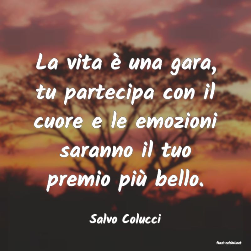 frasi di  Salvo Colucci
