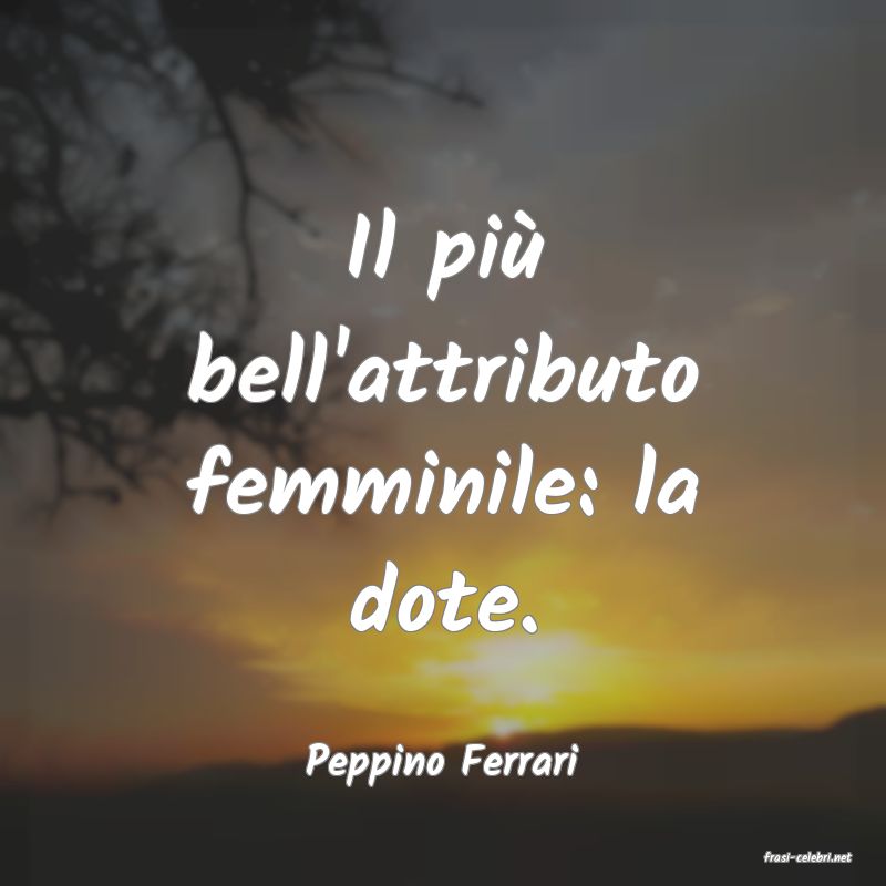 frasi di  Peppino Ferrari
