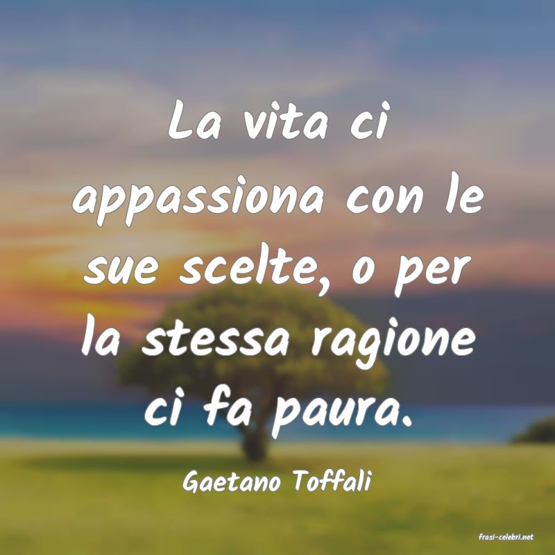 frasi di  Gaetano Toffali
