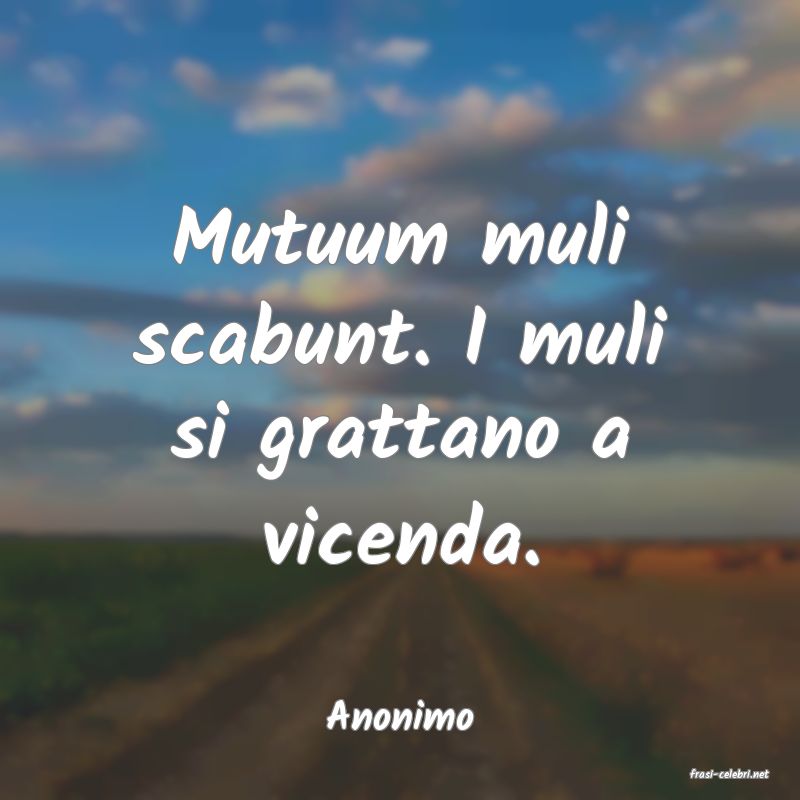 frasi di Anonimo