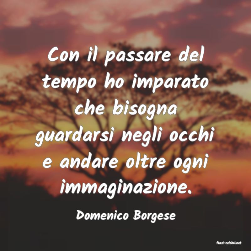 frasi di  Domenico Borgese
