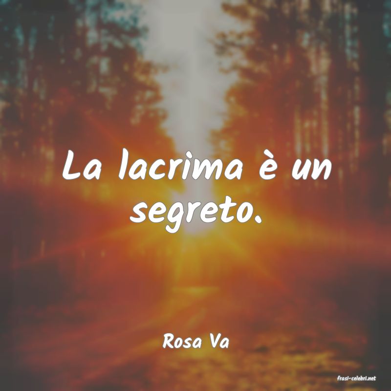 frasi di  Rosa Va
