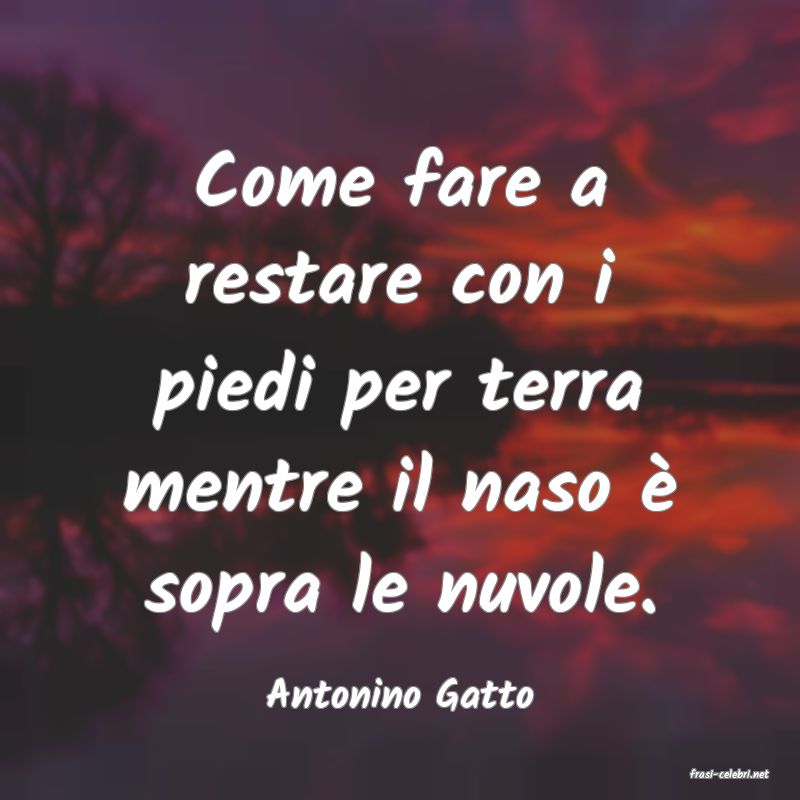 frasi di  Antonino Gatto
