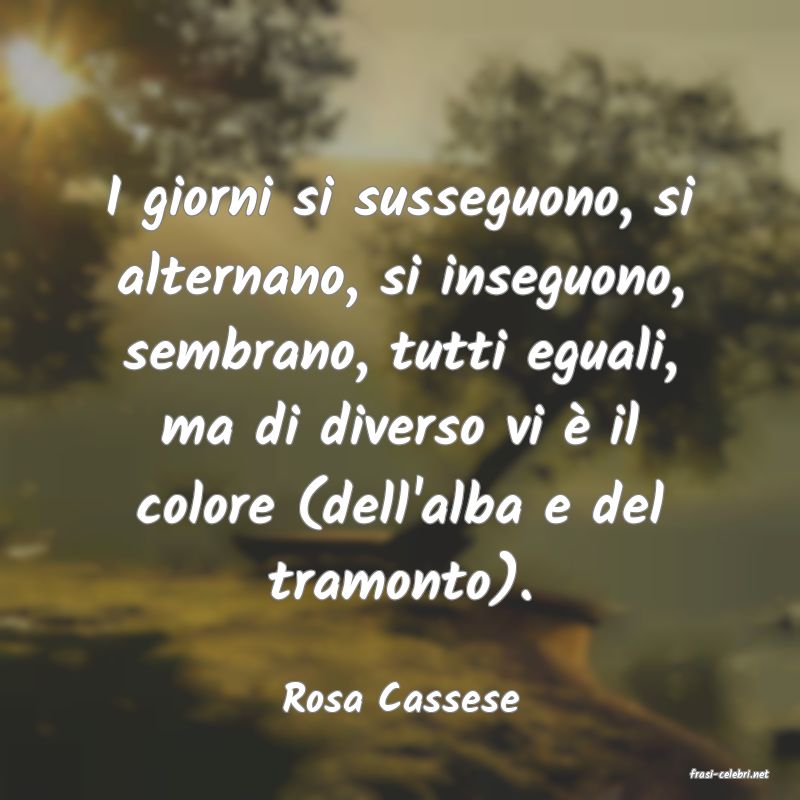 frasi di  Rosa Cassese
