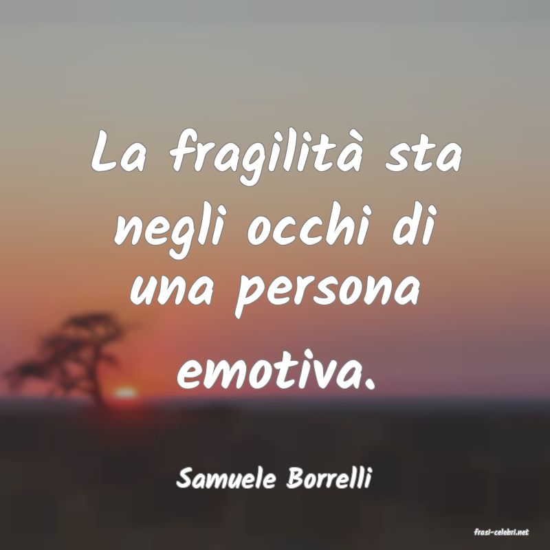 frasi di  Samuele Borrelli
