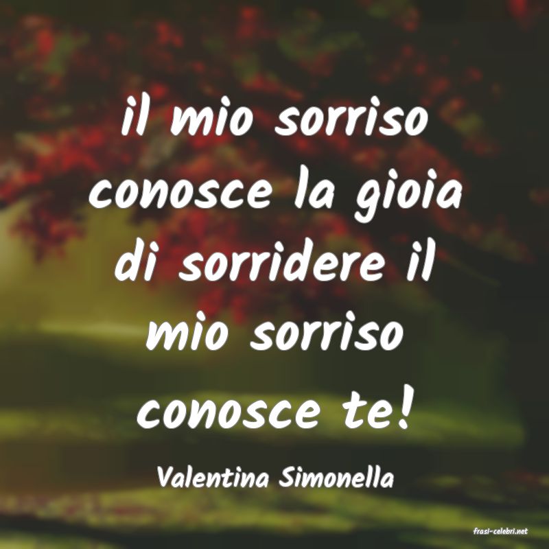 frasi di  Valentina Simonella
