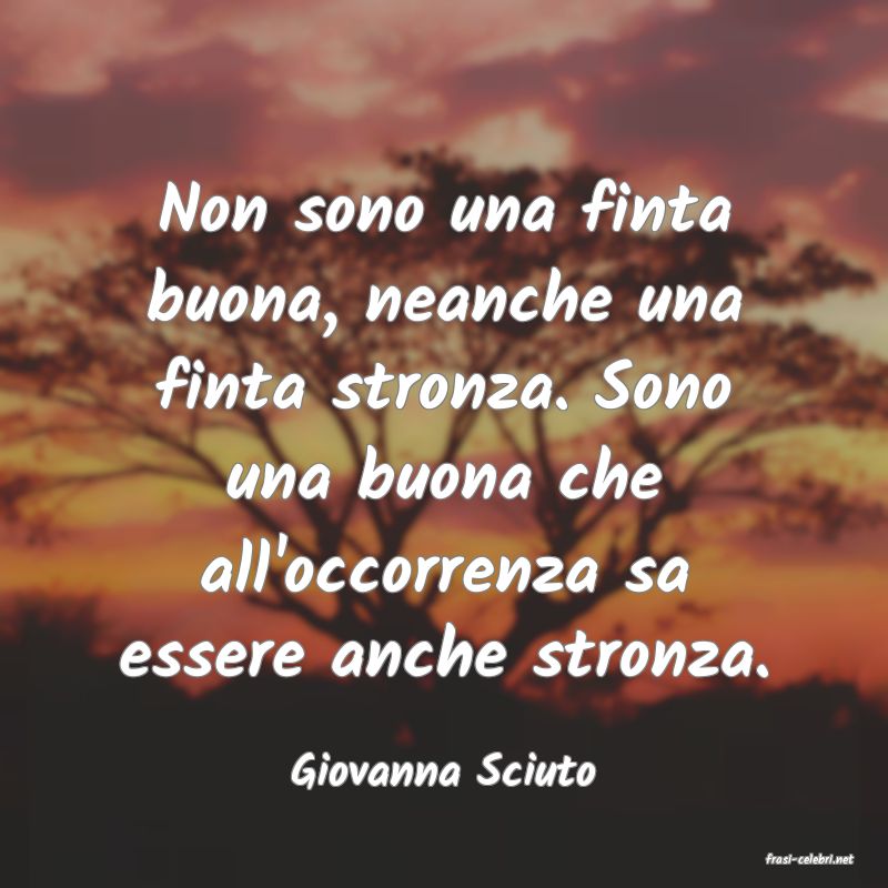 frasi di  Giovanna Sciuto
