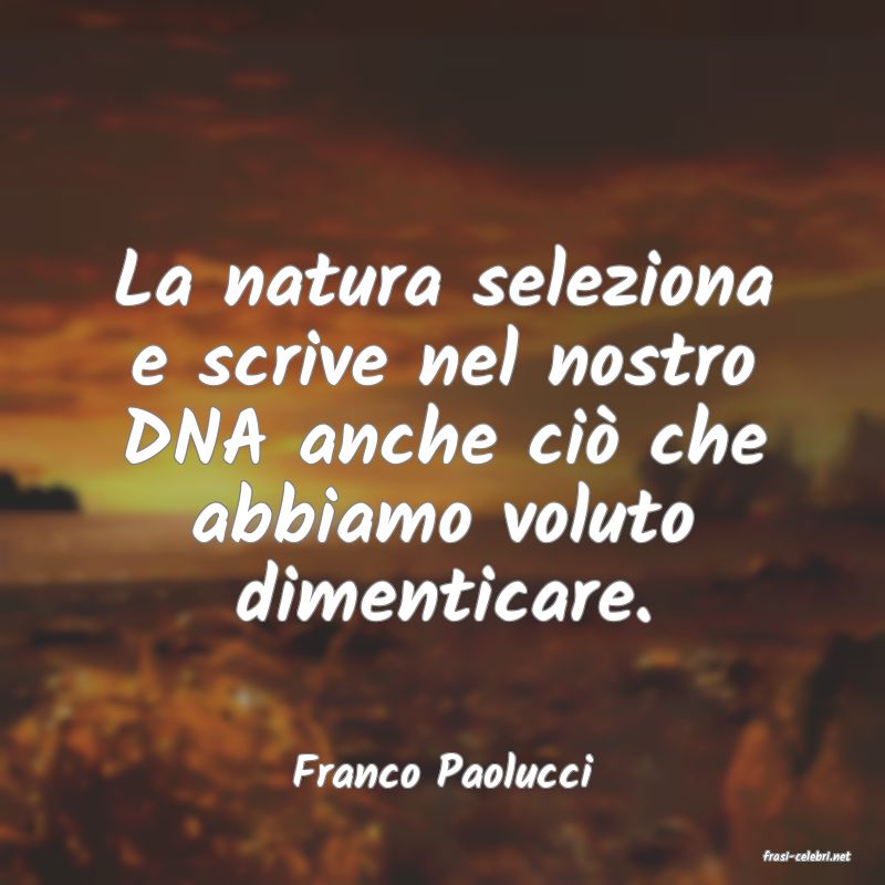 frasi di  Franco Paolucci
