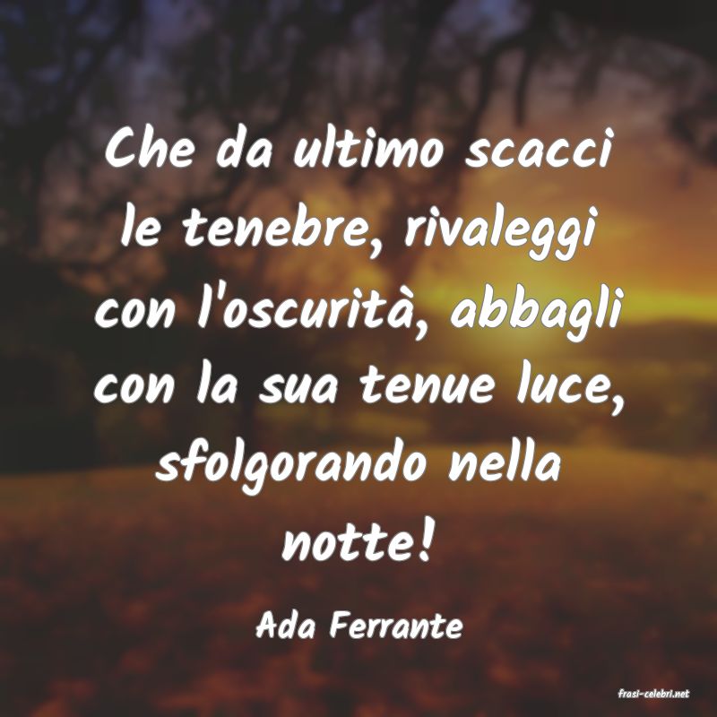 frasi di  Ada Ferrante
