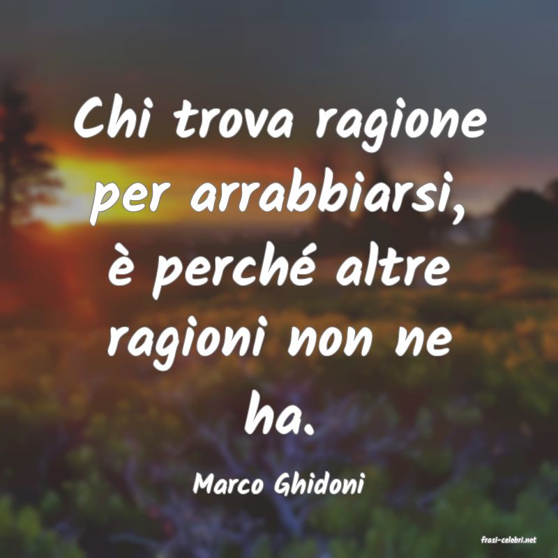 frasi di  Marco Ghidoni
