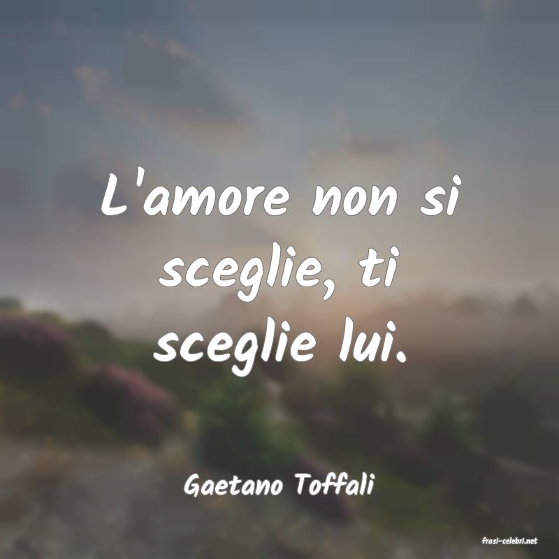 frasi di  Gaetano Toffali
