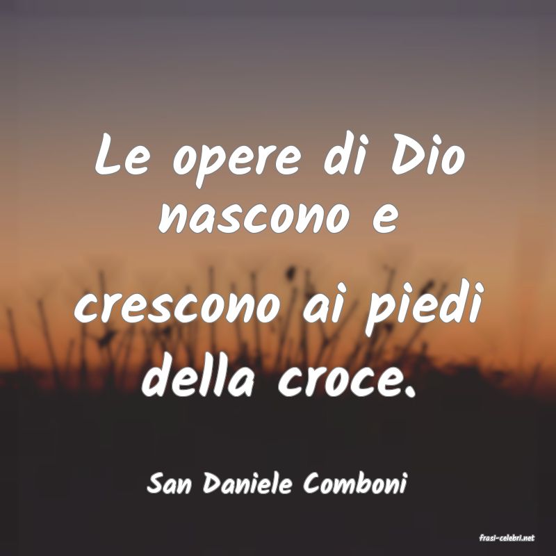 frasi di  San Daniele Comboni
