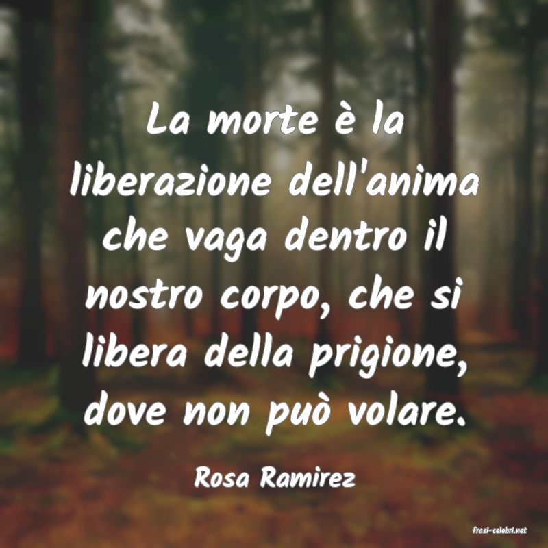 frasi di  Rosa Ramirez
