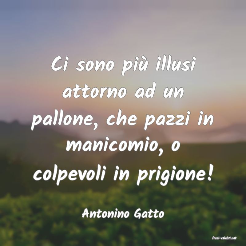 frasi di  Antonino Gatto
