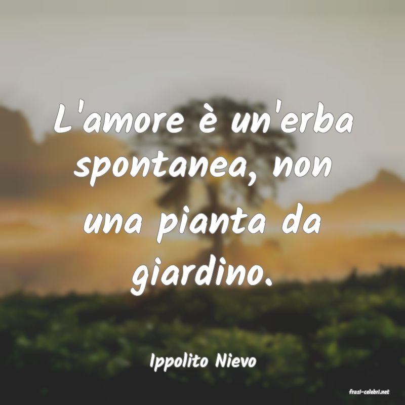 frasi di Ippolito Nievo