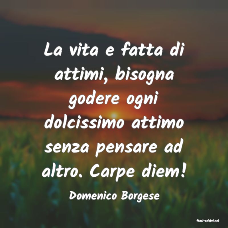 frasi di  Domenico Borgese
