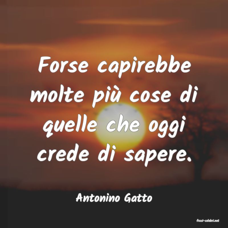 frasi di  Antonino Gatto
