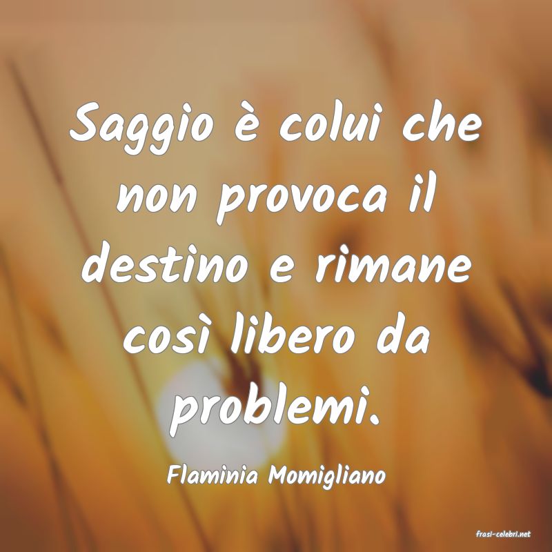 frasi di  Flaminia Momigliano
