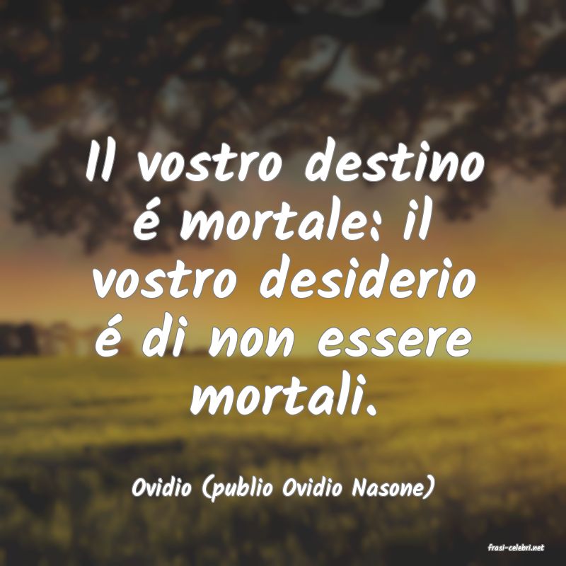 frasi di  Ovidio (publio Ovidio Nasone)
