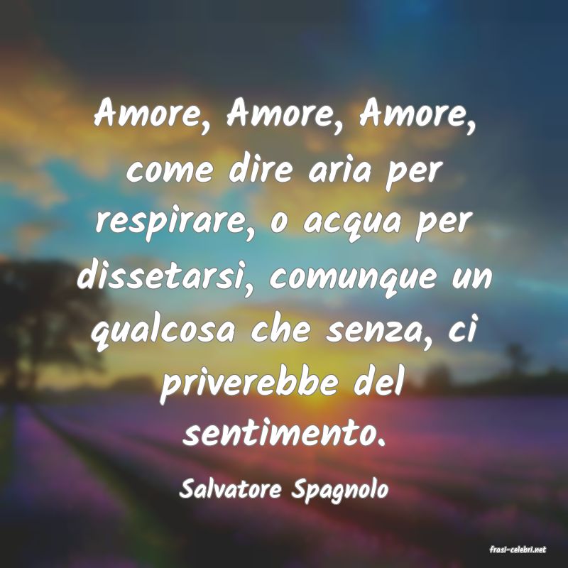 frasi di  Salvatore Spagnolo
