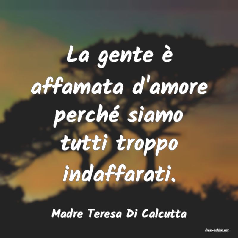 frasi di Madre Teresa Di Calcutta