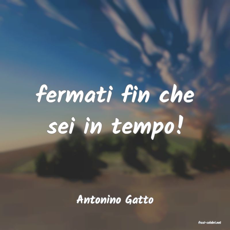 frasi di  Antonino Gatto
