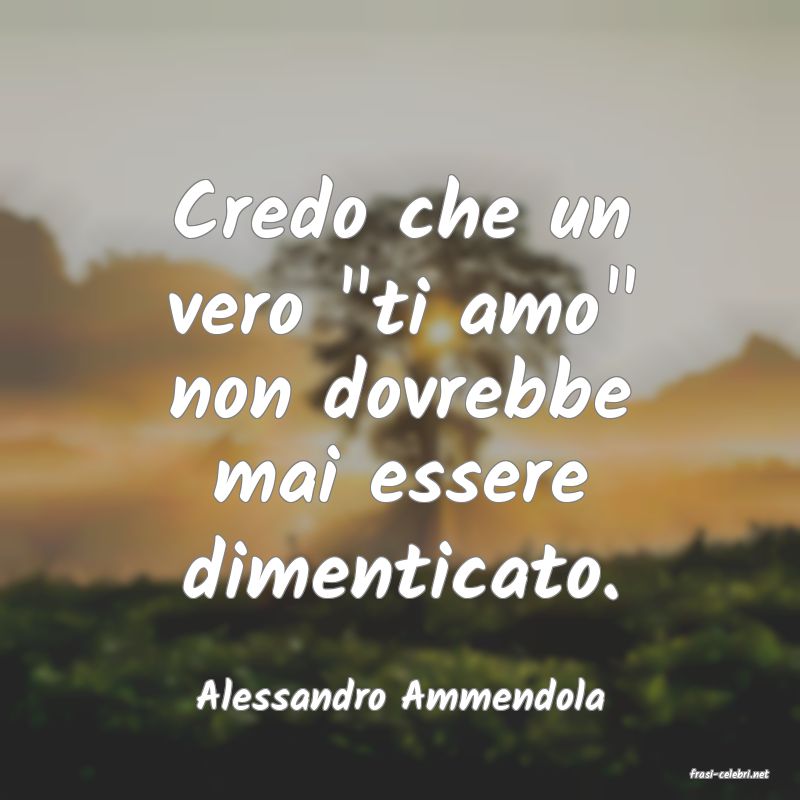 frasi di  Alessandro Ammendola
