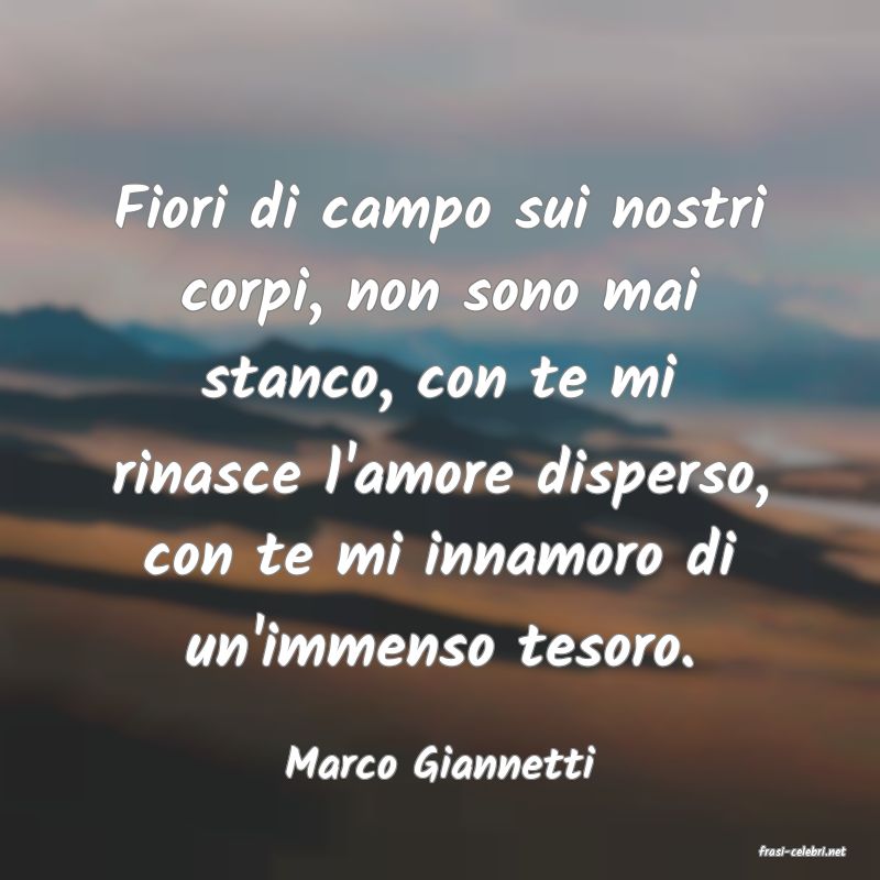 frasi di  Marco Giannetti
