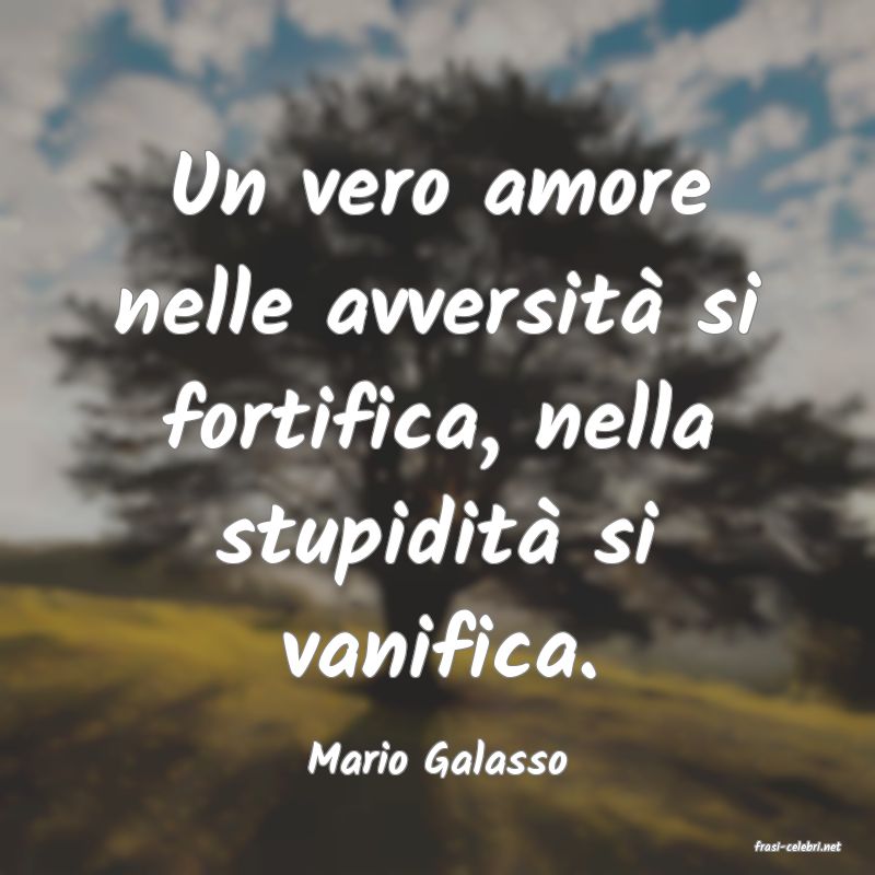 frasi di  Mario Galasso
