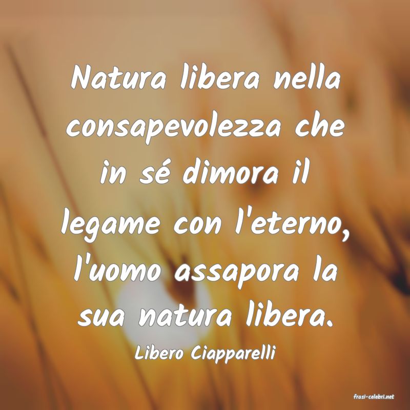 frasi di  Libero Ciapparelli
