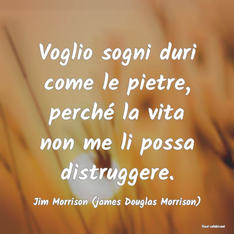 frasi di  Jim Morrison (james Douglas Morrison)
