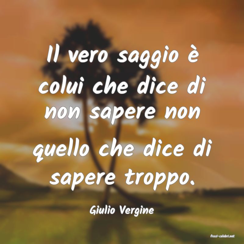 frasi di  Giulio Vergine
