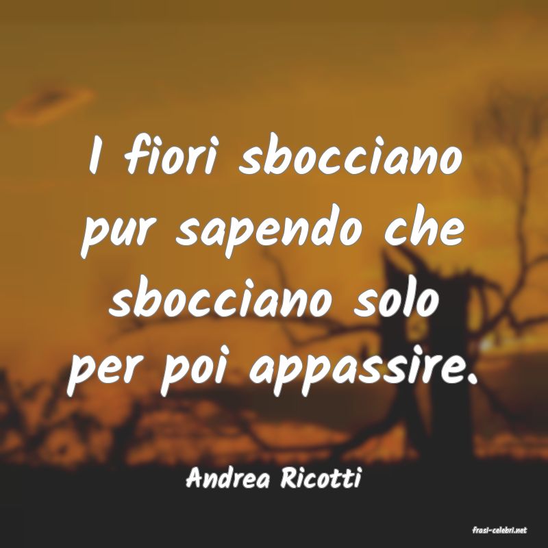 frasi di  Andrea Ricotti
