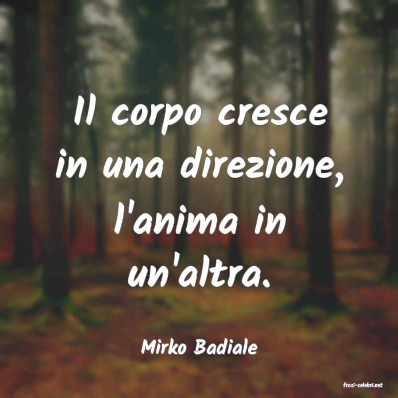 frasi di  Mirko Badiale
