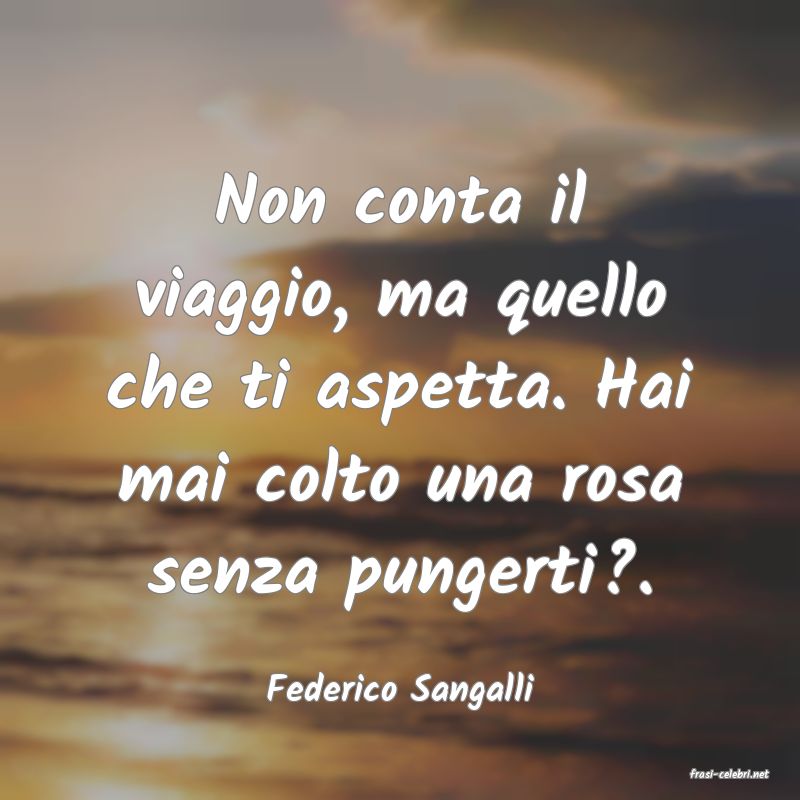 frasi di  Federico Sangalli
