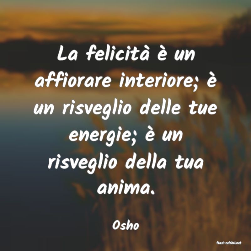 frasi di Osho