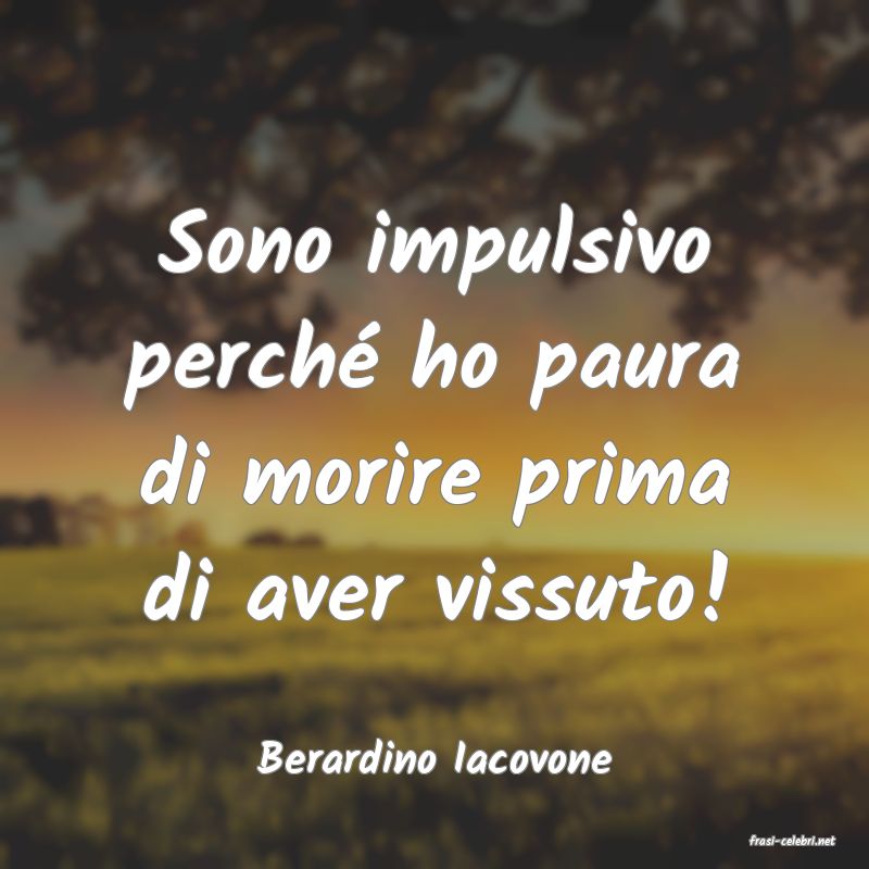 frasi di  Berardino Iacovone
