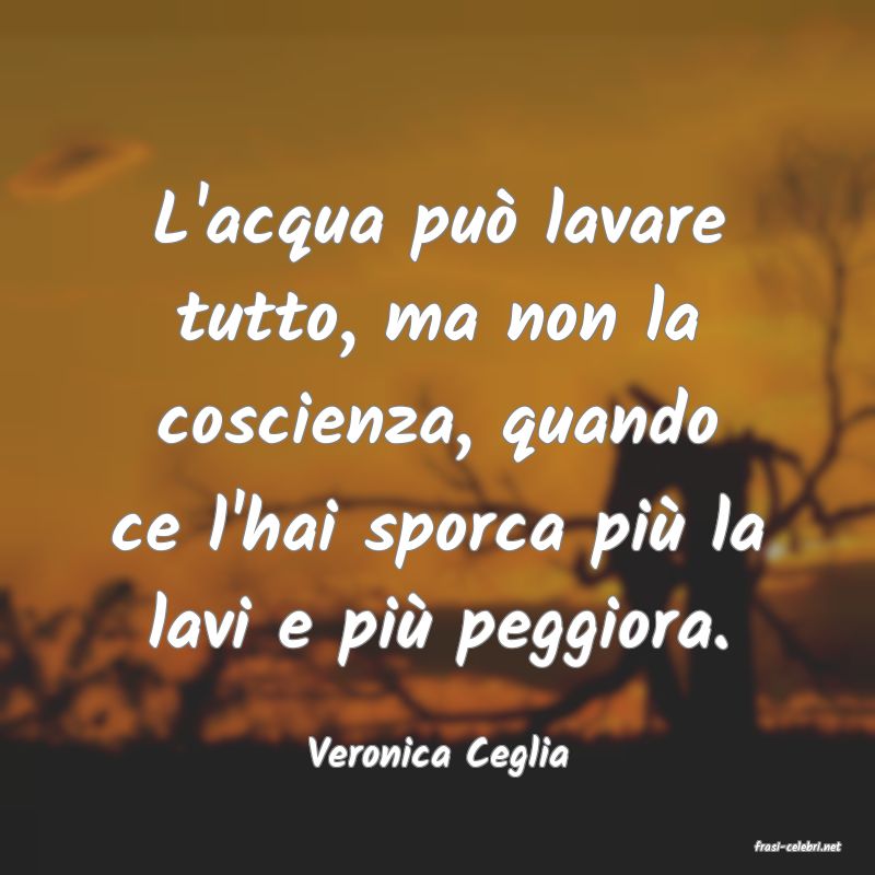 frasi di  Veronica Ceglia
