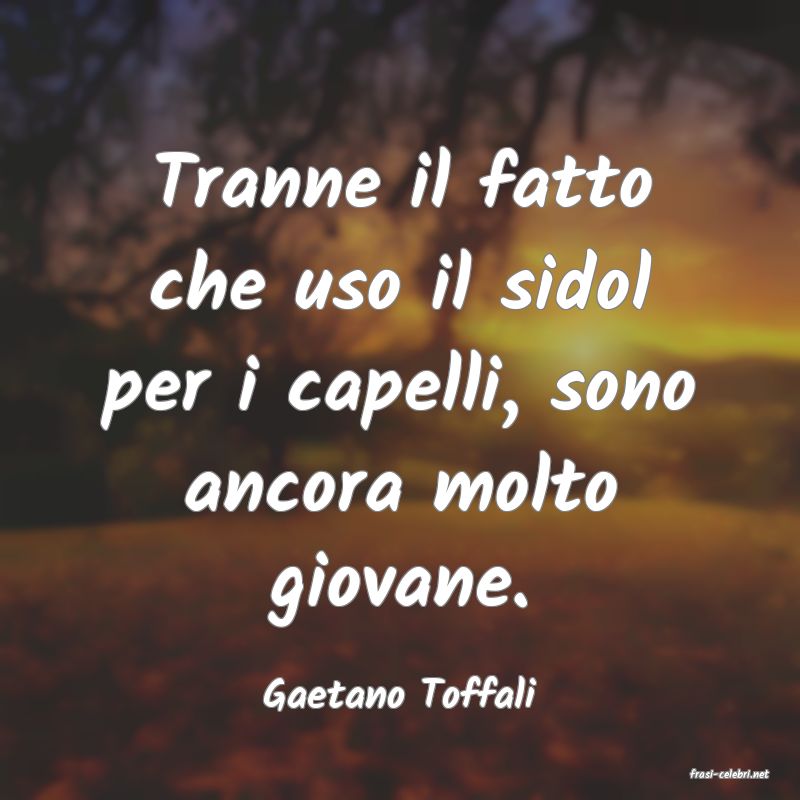 frasi di  Gaetano Toffali
