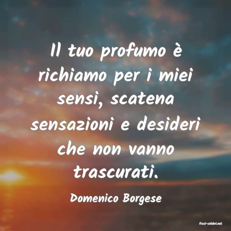 frasi di  Domenico Borgese
