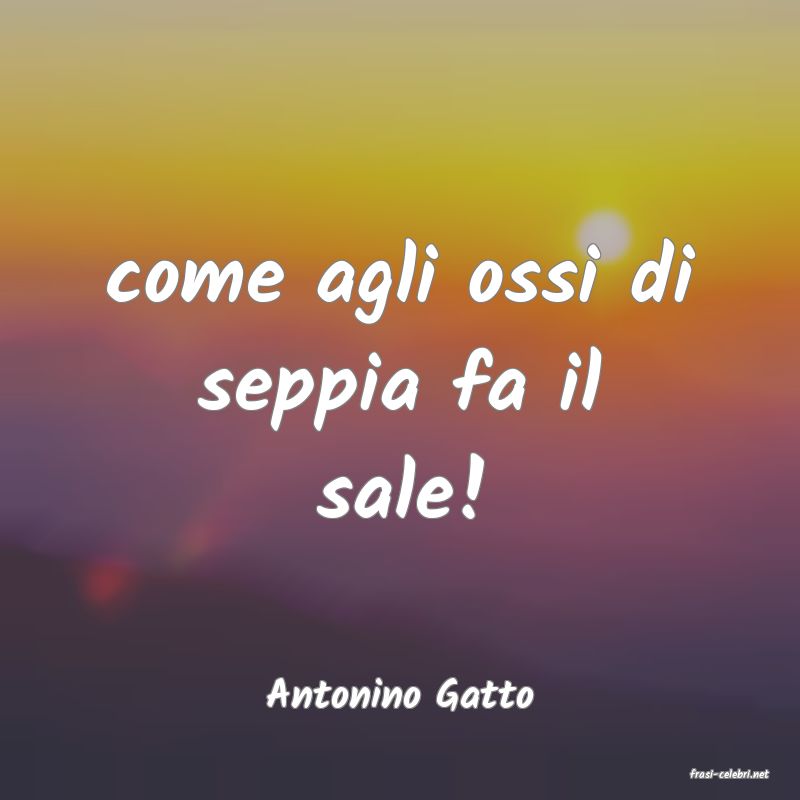 frasi di  Antonino Gatto
