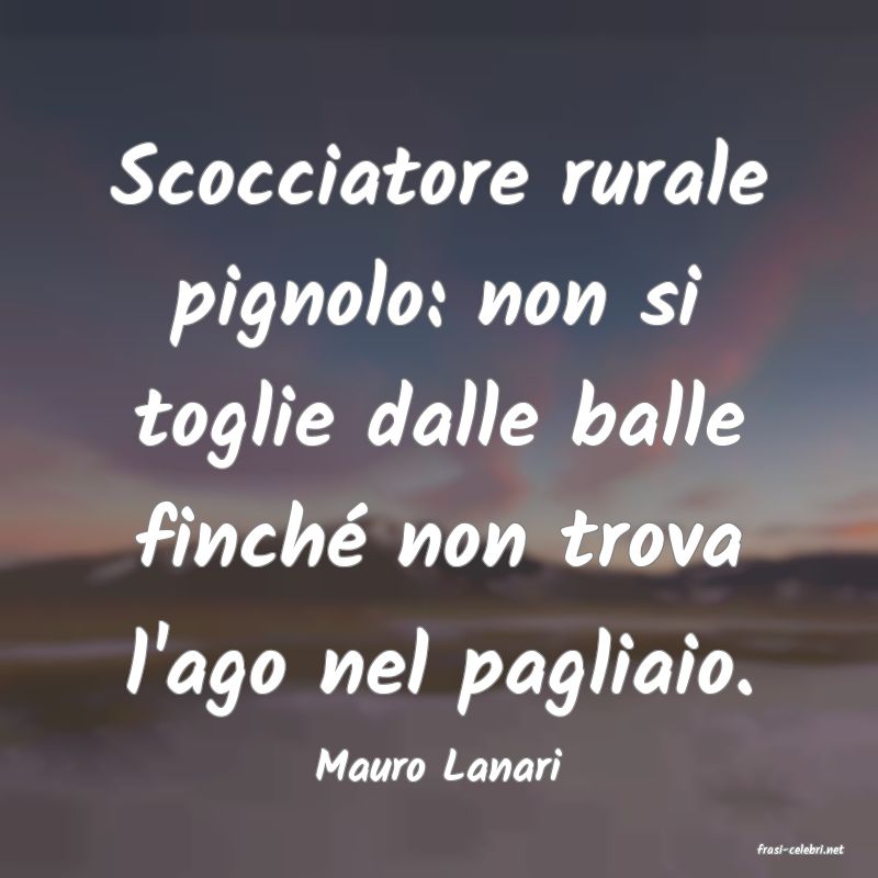 frasi di  Mauro Lanari
