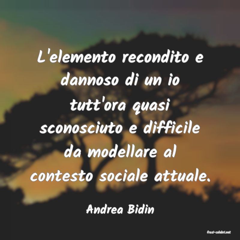 frasi di  Andrea Bidin
