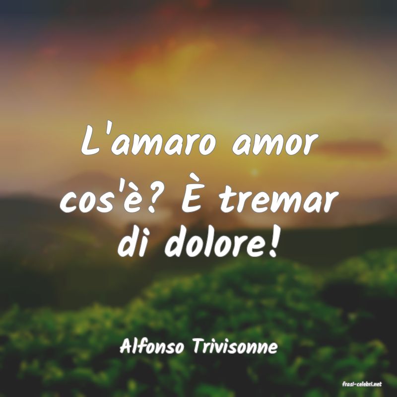 frasi di  Alfonso Trivisonne
