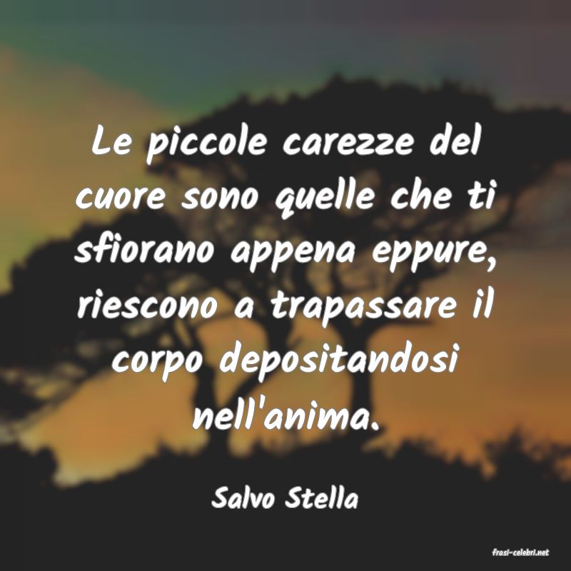 frasi di  Salvo Stella
